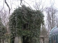 09 Oesterreicher Mózes